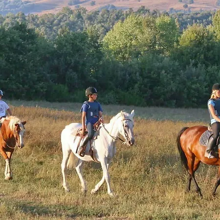 Ritsoni 3*